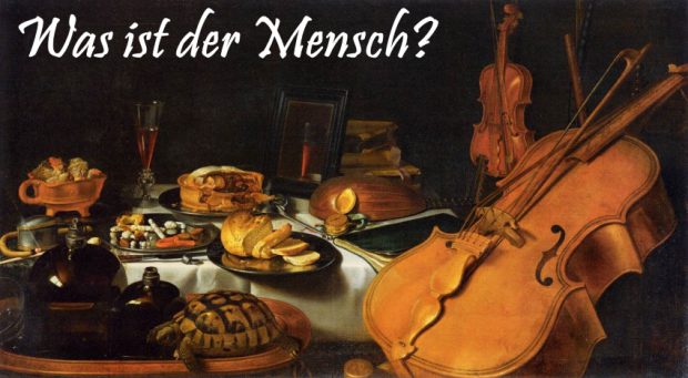 Geige, Violine, Brot, Schildkröte, Rotwein, Spiegel, Pieter Claesz, Lifestyle, 1623